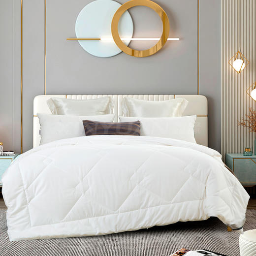 贵族真空纯蚕丝被 ANZB 商品图0