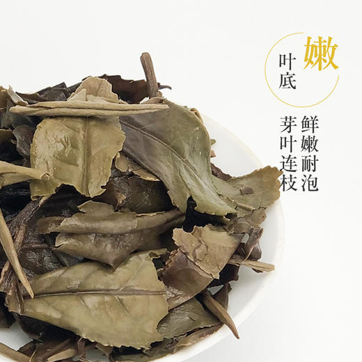 霏鸿茶叶 福鼎白茶生态老枞贡眉 自然日晒白茶饼小牡丹2020年春茶 商品图4