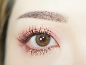 林涧觅语绿（Darrens日抛）短期抛无售后