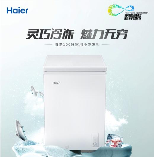 海尔（Haier）冷柜BC/BD-100HBZ 商品图0