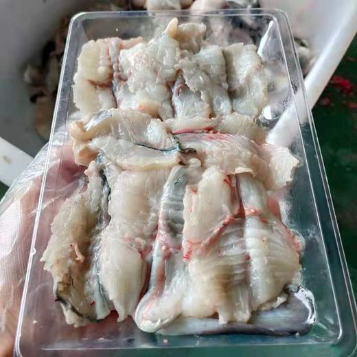【乌尔鳗鱼】 渔船海捕码头直供，已处理好 整条卖每条约1.6斤-2斤按斤计价 商品图5