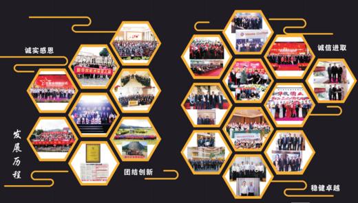 员工手册 商品图2