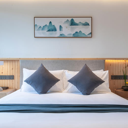 “年货节直播秒杀”  安澜.岛酒店 1晚 商品图2