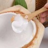 【趣味萌椰】爆笑椰 泰国椰青 椰汁清甜细腻 椰肉Q弹嫩滑 奶香浓郁 天然好滋味 商品缩略图10