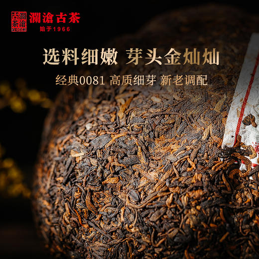 澜沧古茶2019年八壹金瓜普洱茶熟茶茶叶贡瓜送礼盒500g 商品图2
