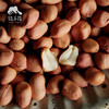 生态花生 | 合作生产 * Ecological peanuts| Coproduction 商品缩略图0
