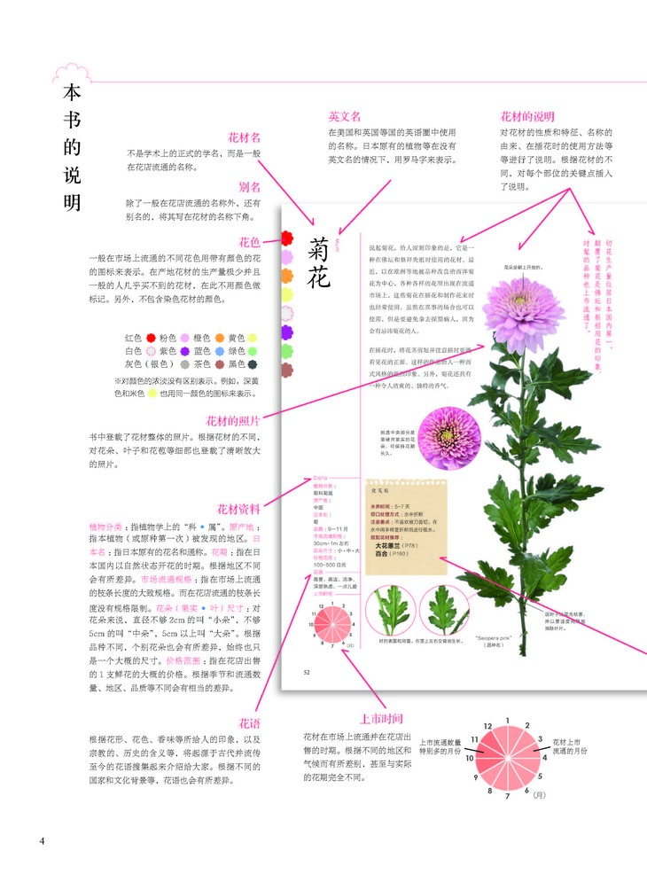 关于花朵的一生 小小花束书 花图鉴