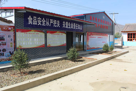 胭脂川当归鸡  让你的春天大“鸡”大利(年货特惠，统统8.8折) 商品图1