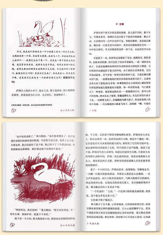 【吹小号的天鹅】怀特著 外国文学少儿童故事书籍 童话故事书 商品图2