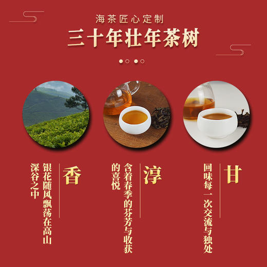 海茶 凤凰单丛鸭屎香（银花香）香嫩春茶 商品图2