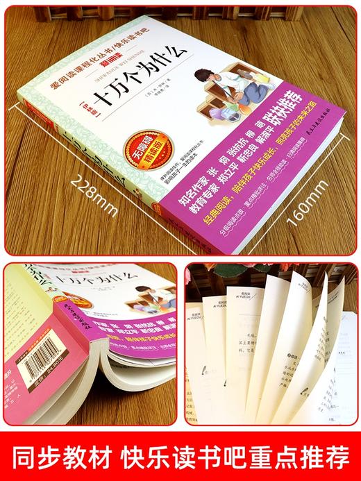 【十万个为什么 】 苏联米伊林著 小学版青少年正版快乐读书吧四年级下册必读经典书目课外书老师推荐小学生阅读书籍部编版 商品图1