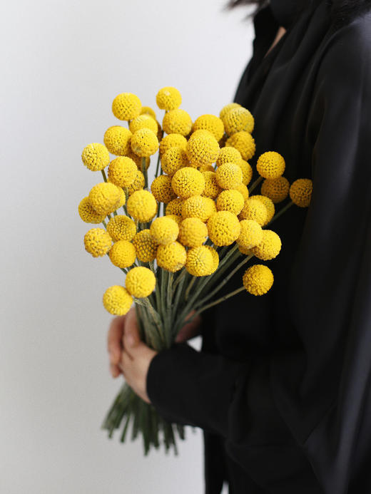 黄金球【万物皆有裂痕，那是光照进来的地方】简小姐精选  迷你超萌圆滚滚 黄金球1束 下单48小时发货 商品图2