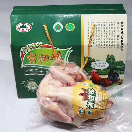 胭脂川当归鸡  让你的春天大“鸡”大利(年货特惠，统统8.8折) 商品图0