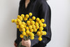 黄金球【万物皆有裂痕，那是光照进来的地方】简小姐精选  迷你超萌圆滚滚 黄金球1束 下单48小时发货 商品缩略图6