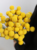 黄金球【万物皆有裂痕，那是光照进来的地方】简小姐精选  迷你超萌圆滚滚 黄金球1束 下单48小时发货 商品缩略图4