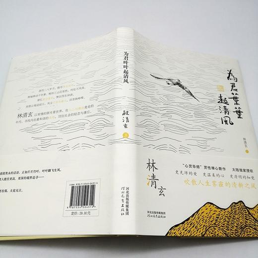 【为君叶叶起清风】(精装彩图)心灵导师林清玄灵性禅心新作 商品图2