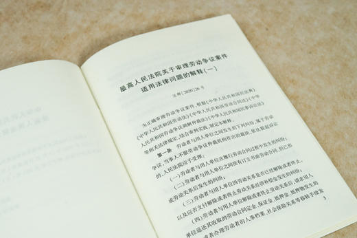 最高人民法院关于审理劳动争议案件适用法律问题的解释一 附劳动相关法律 商品图5