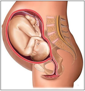  39博客案例 |44岁的我艾灸怀孕-子宫肌瘤和宫颈息肉​ 