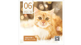 【花丘•心语】