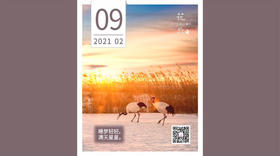 【花丘•心语】