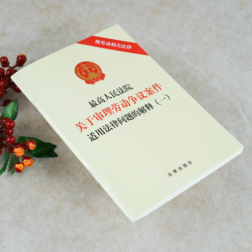 最高人民法院关于审理劳动争议案件适用法律问题的解释一 附劳动相关法律 商品图4