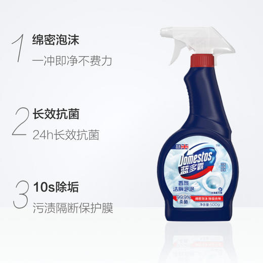 蓝多霸香氛洁厕泡泡洁厕慕斯500g 商品图1