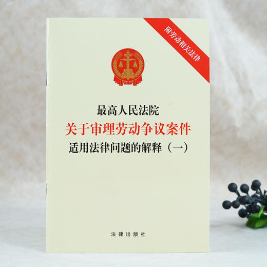 最高人民法院关于审理劳动争议案件适用法律问题的解释一 附劳动相关法律 商品图1