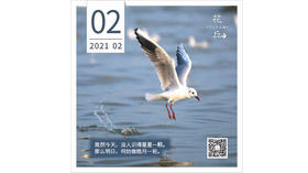 【花丘•心语】