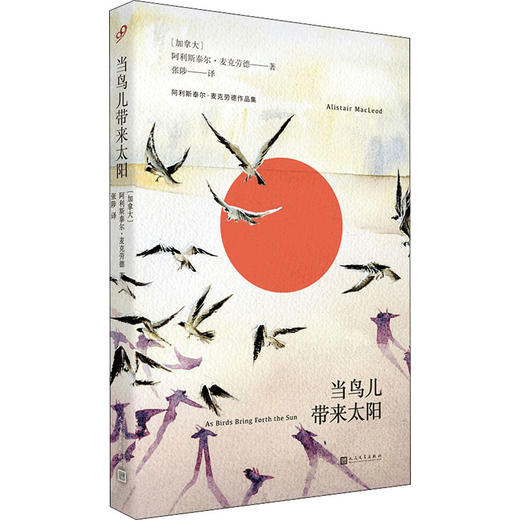 当鸟儿带来太阳 商品图0