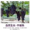 高品辽峰葡萄 1串/约1000g 商品缩略图0