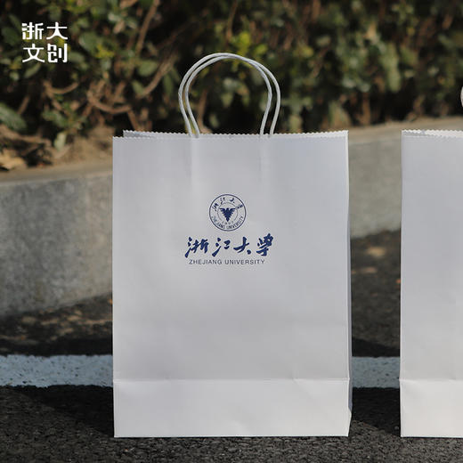 【浙大文创】浙江大学蓝白纸袋海纳江河 商品图3