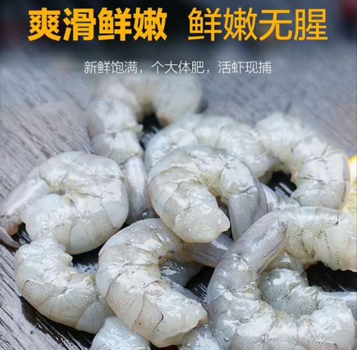 特级青虾仁2公斤【九鼎鲜易达】 商品图0