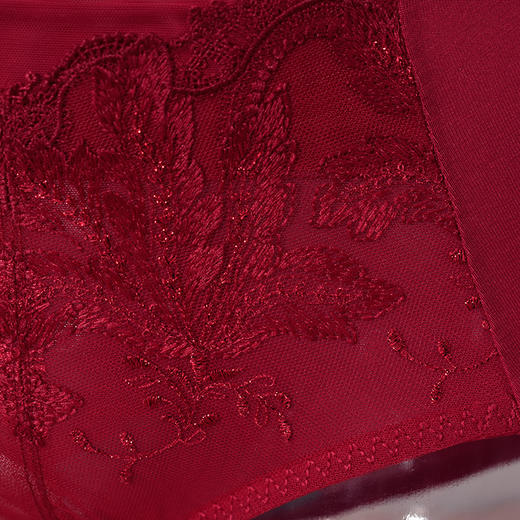 皇家丽美抗菌抑菌轻薄舒适女士中腰内裤K023-K2 商品图3