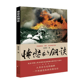 愤怒的钢铁 韩梦泽 著 文学现当代军事小说书籍