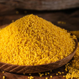 有机小米 好喝到停不下来 养脾胃 要选好食材  超方便的小包装 100g*25小包|百里食