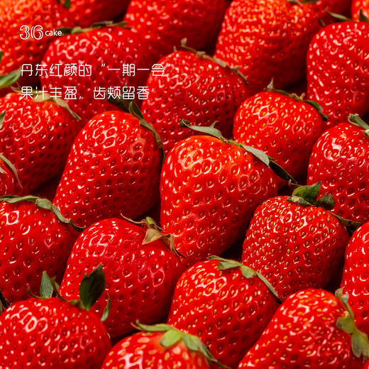 情话留声机酸奶草莓慕斯蛋糕 商品图4