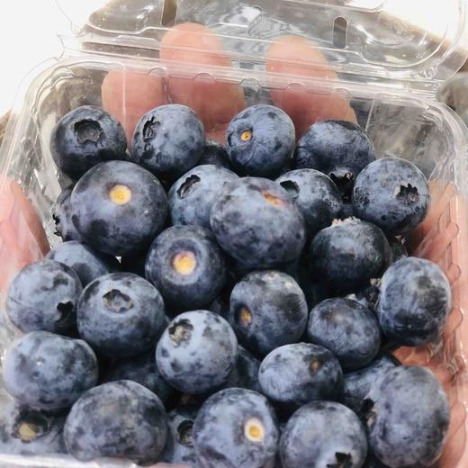 【秘鲁蓝莓】酸甜口味 商品图1