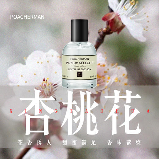 杏桃花香水nectaring blossom花香调清新持久留香 男女士淡雅香水 商品图0
