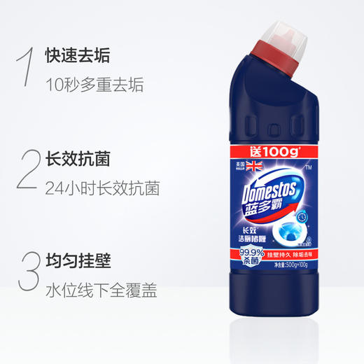 蓝多霸长效洁厕啫喱沧海星光香600g 商品图1