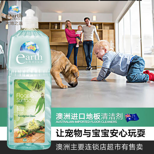 EARTH CHOICE/大地之选 地板表面清洁剂 1LJPY带授权招加盟代理 商品图1