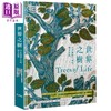 预售 【中商原版】世界之树：孕育地球生命的树木图鉴（精装） 港台原版 麦克斯．亚当斯 麦浩斯 商品缩略图0
