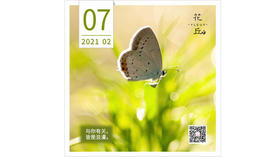 【花丘•心语】