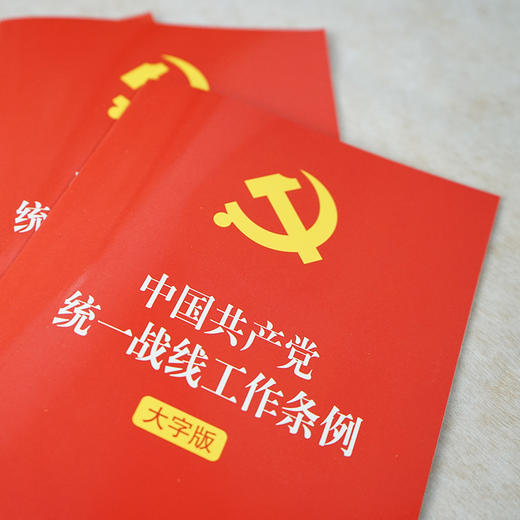 中国共产党统一战线工作条例 大字版 商品图3