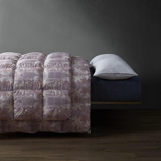 安大略狮头老白鹅绒冬被 商品图1