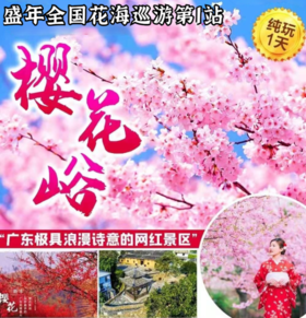 【全国花海巡游第1站】盛年同学汉服春游~新丰樱花峪赏樱花，畅游广州“北极”~流溪河源头莲麻小镇