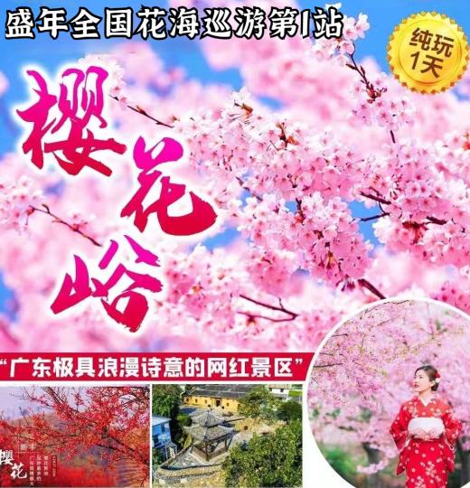 【全国花海巡游第1站】盛年同学汉服春游~新丰樱花峪赏樱花，畅游广州“北极”~流溪河源头莲麻小镇 商品图0