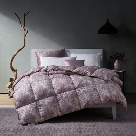 安大略狮头老白鹅绒冬被 商品图0