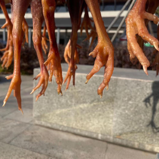 【溧阳压缸咸草鸡】精选溧阳散养草鸡草鸡，蒸煮皆美味 不咸不淡，肉香紧实有嚼劲，自吃推荐食材！ 商品图3