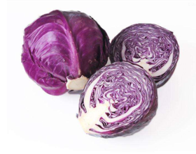 紫甘蓝