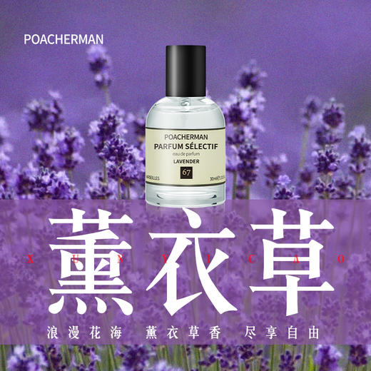 薰衣草香水LAVENDER女士持久淡香 清新活力花香调香水 商品图0